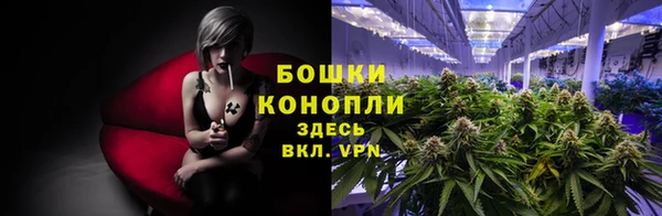 бошки Арсеньев
