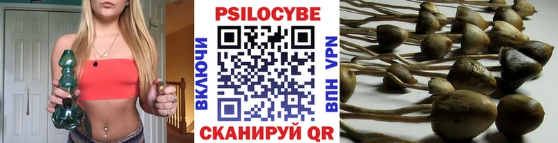 Псилоцибиновые грибы прущие грибы  Кирово-Чепецк 